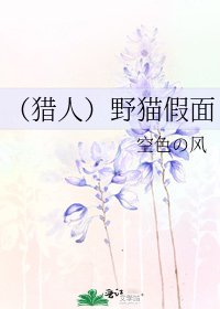 （猎人）野猫假面