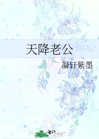 天降老公